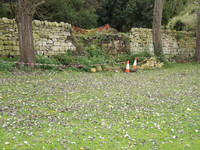 Click for a larger image of Hen's Orchard Wall